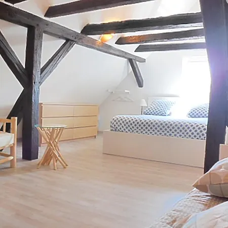 Apartment 5 Chambres En Hyper Centre Ville De Colmar